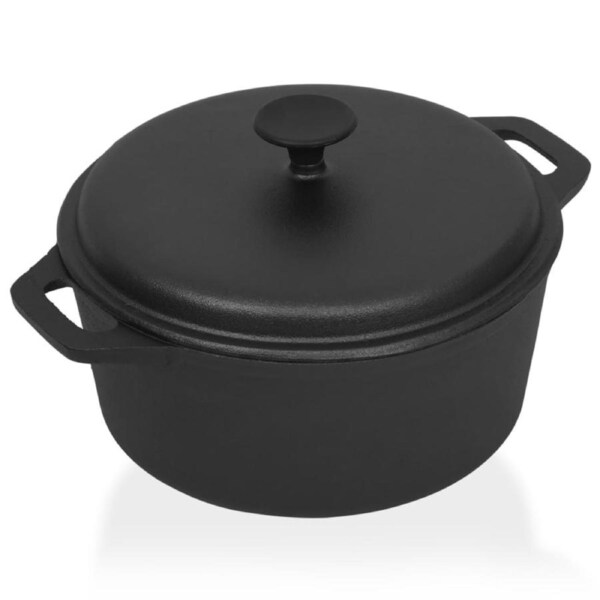 Pot ?26.5 cm Cast Iron vidaXL