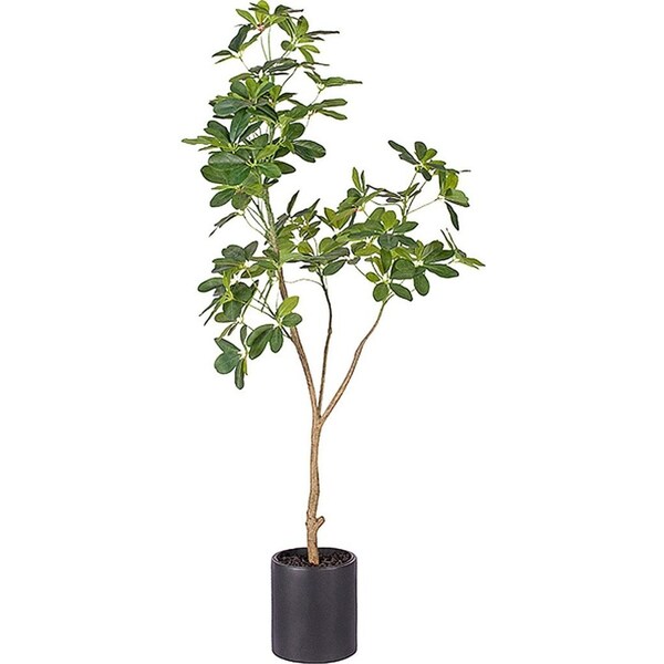 SOGA 160cm Artificial Natural Green Schefflera Dwarf Umbrella Tree Fake Tropical Indoor Plant Home Office Decor