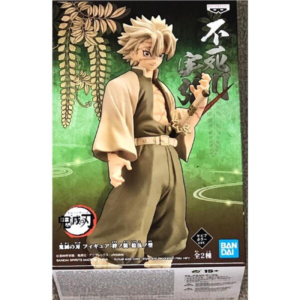 Demon Slayer: Kimetsu no Yaiba Vol.15 - Sanemi Shinazugawa