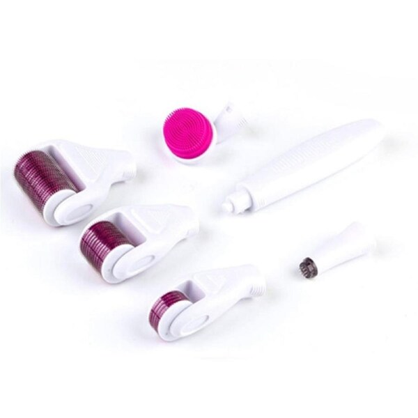 6 in 1 Derma Roller Set Face Microneedle Roller, Facial Beauty Roller Skin Care Tools for Scarring and Face Skin Rejuvenation,lifting, skin problems - Purple with White