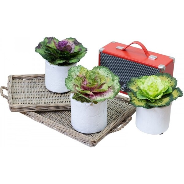 3pcs 19cm Assorted Cabbage Rose in Pot Artificial Plant Flower
