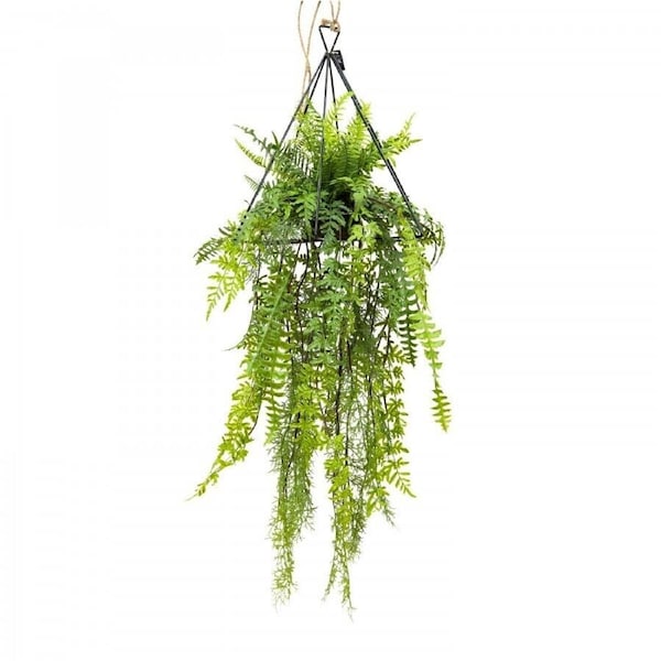 105cm Mixed Fern in Triangular Frame Hanger (with Rope) Artificial Plant Fake