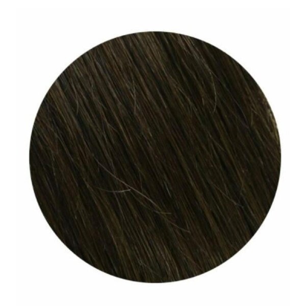 Salon Professional 20 Piece Tape In Hair Extensions #2 20"
