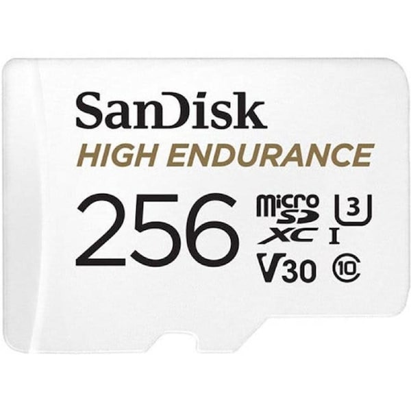 SanDisk High Endurance microSDHC Card 256GB 100MB/S