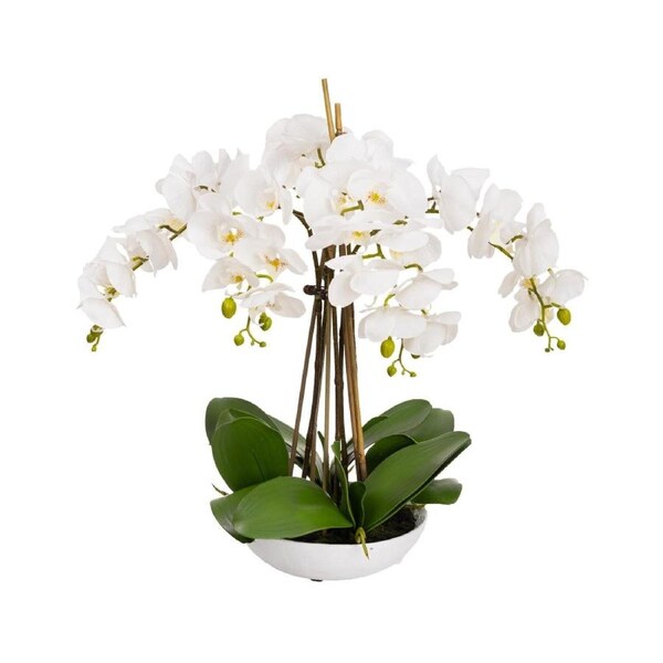Glamorous Fusion Phalaenopsis Orchid Artificial Plant Flower Decorative 60cm White Bowl - White