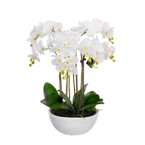 55cm Faux Phalaenopsis Orchid in Pot Artificial Plant Flower Home Office Decor