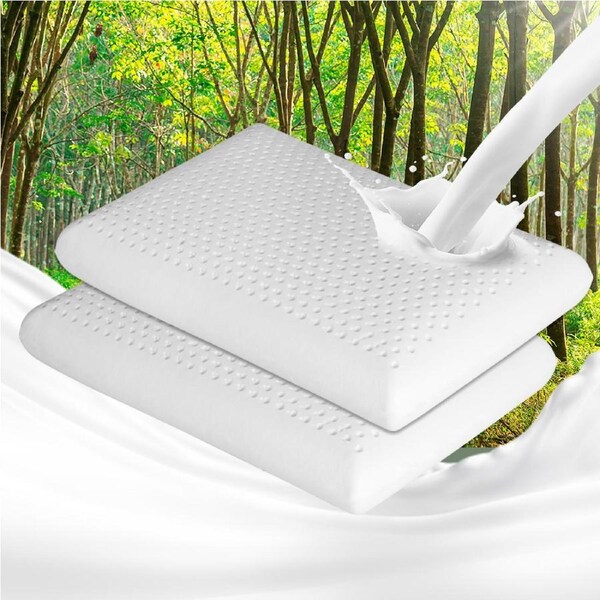 DreamZ 2-Pack Memory Latex Pillows Natural Soft Support for Sleeping