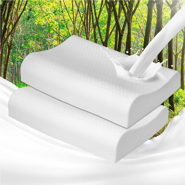 Dreamz 2-Pack Memory Latex Pillows Natural B-Shape Supportive Design