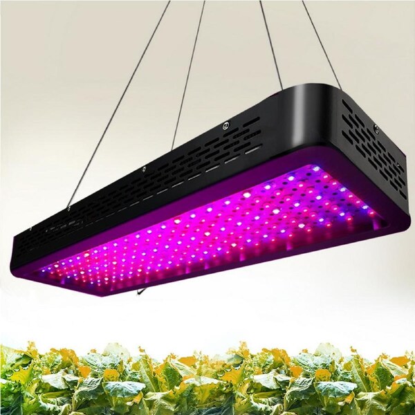 2x 2000W Green Fingers Grow Lights LED Full Spectrum Indoor Plant All Stage Growth