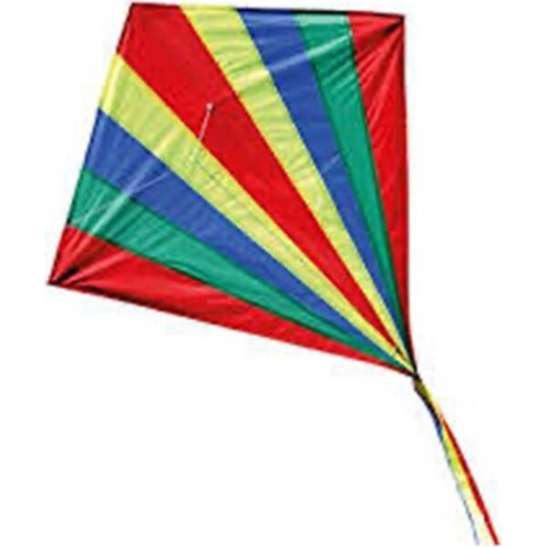 Brookite 79cm Shadow Kite Outdoor/Beach Fun Play Flying Toy 6y+ Kids/Children