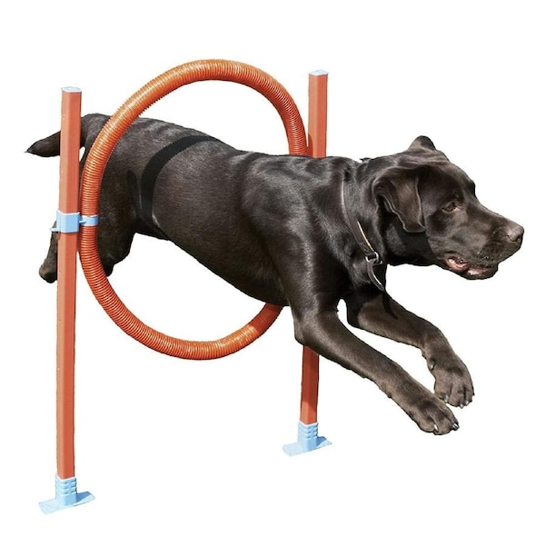 Rosewood Dog 51cm Agility Hoop Jump Training/Exercise Pet Interactive Toy Play