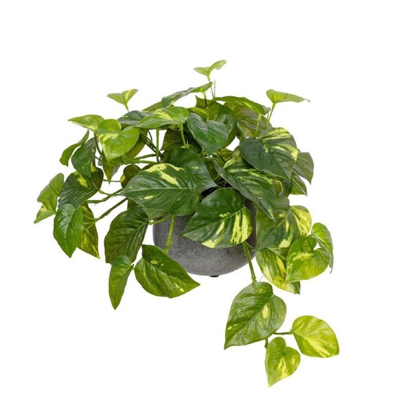 Glamorous Fusion Pothos Artificial Fake Plant Flower Decorative 30cm In Pot