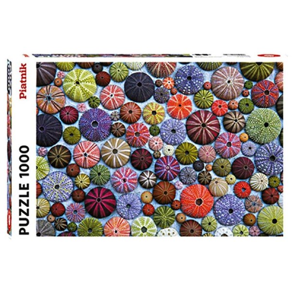 Sea Urchin Shells Jigsaw Puzzles 1000 Pieces