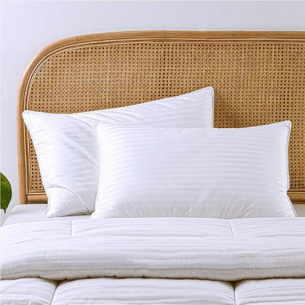 Dreamaker Cotton Sateen Cover Microfibre Pillow Standard Twin Pack