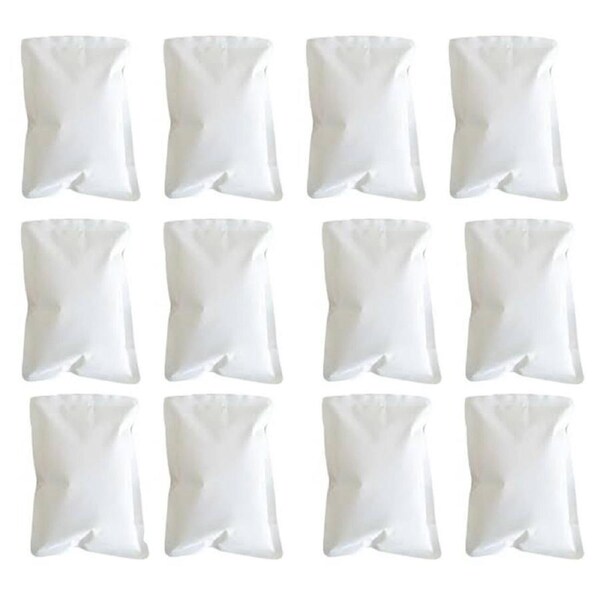 x12 1kg XL Reusable Food Picnic Ice Brick Block Cold Gel Pack Freezer Cooler Bag