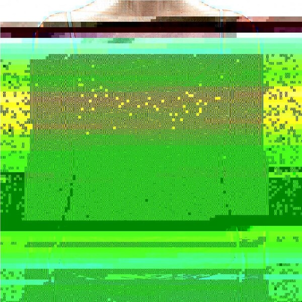 MERINO SKINS Womens Camisole Wool Thermal Underwear Top Cami Baselayer - Skin L (Aus 14)