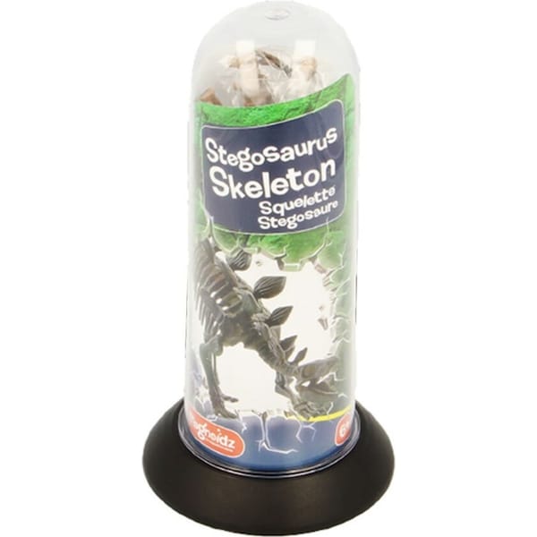 Magnoidz 3D Dinosaur Skeletons 18cm Fossil Wildlife Jurassic Toy Kids 3y+ Assort