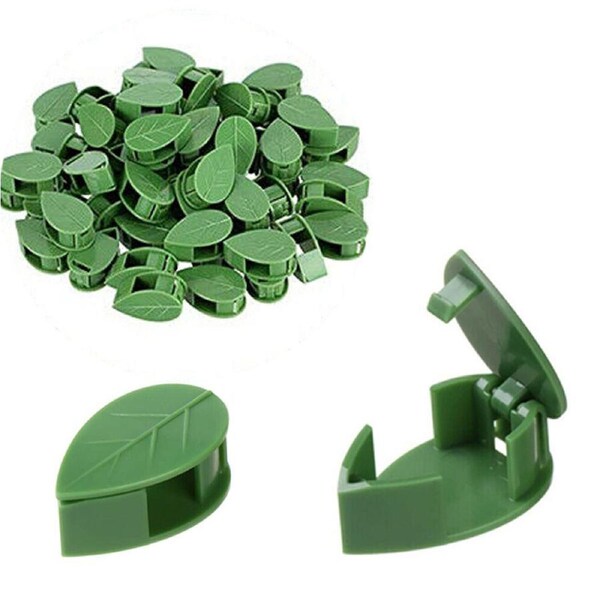 50x Invisible Clips Plant Climbing Wall Fixture Hooks Fixing Self-adhesive