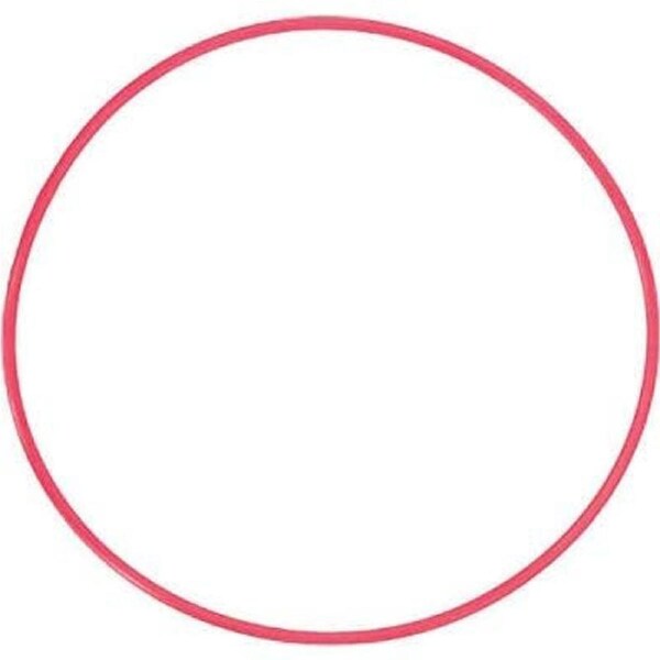 Olympus POL-041 O-Ring