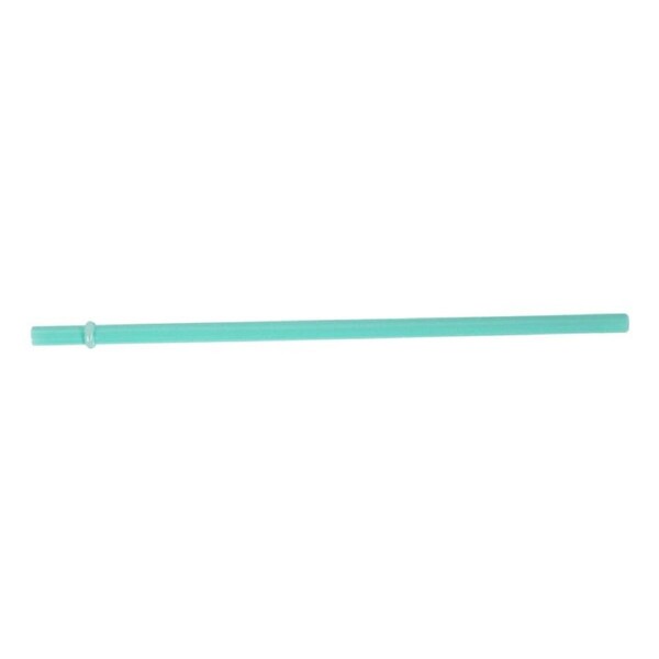 Avanti Glass Smoothie Straw Mint #12436S