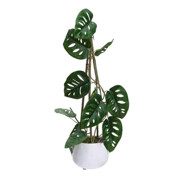 Glamorous Fusion Climbing Sellum Philo Artificial Fake Plant Decorative 62cm In Pot
