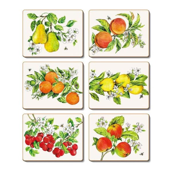 Cinnamon Botanical Fruit Cork Backed Drink Coasters Set 6