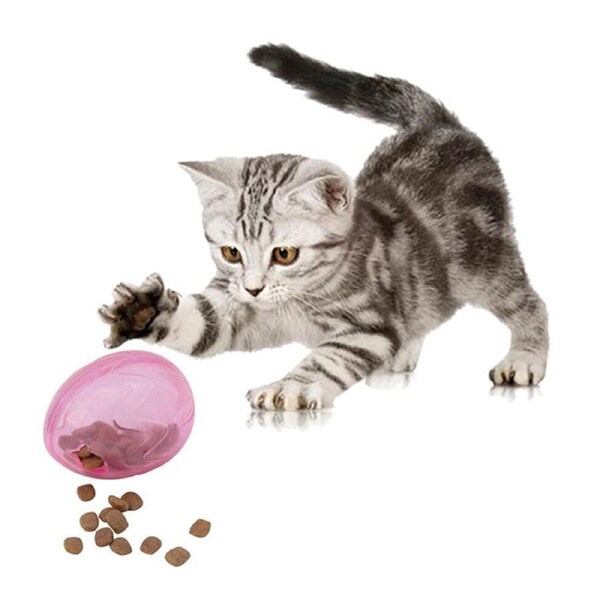 Catzon Pet Cat Egg Interactive Toy and Food Dispenser-Rose Red
