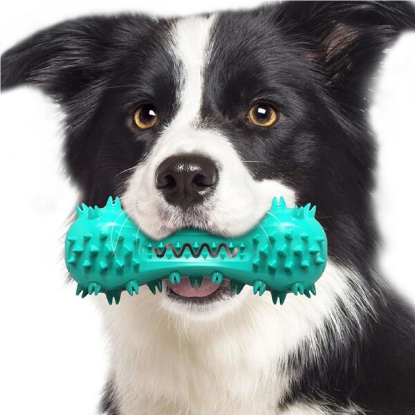 Catzon Dog Chew Toy Clean Teeth Interactive Squeaky Toy Dog Natural Rubber Indestructible Dog Toys-Blue
