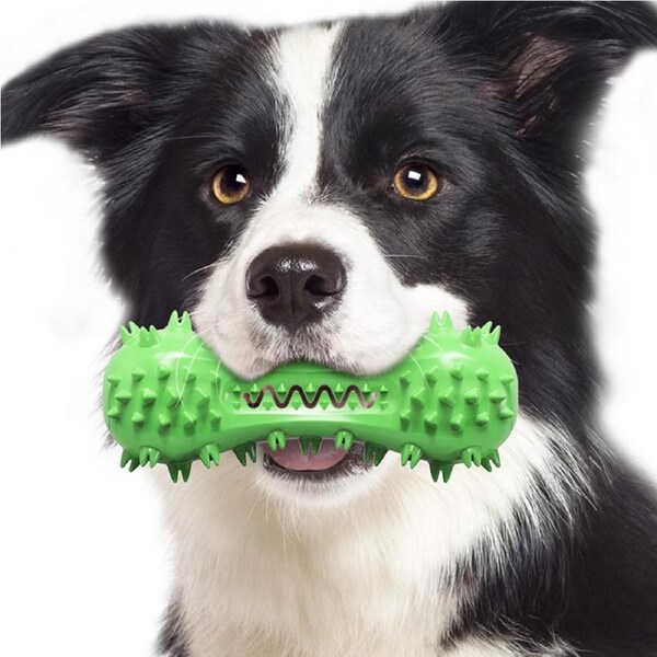 Catzon Dog Chew Toy Clean Teeth Interactive Squeaky Toy Dog Natural Rubber Indestructible Dog Toys-Green