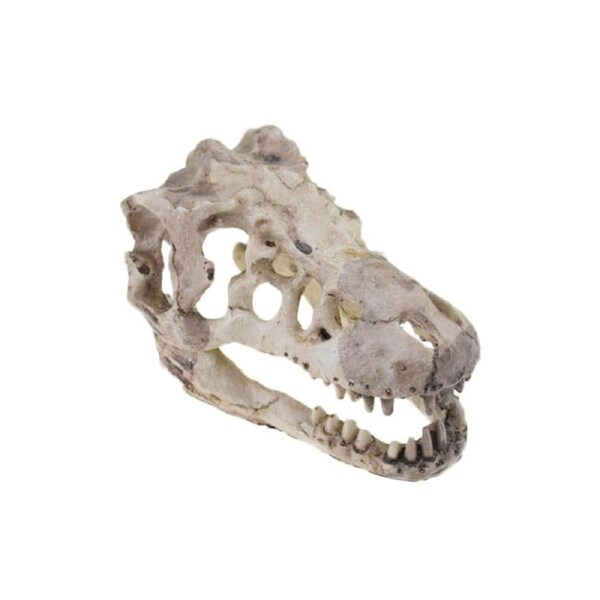Catzon Aquarium Decorations Dinosaur Skull Decor Resin Skull Model for Reptiles Hideout