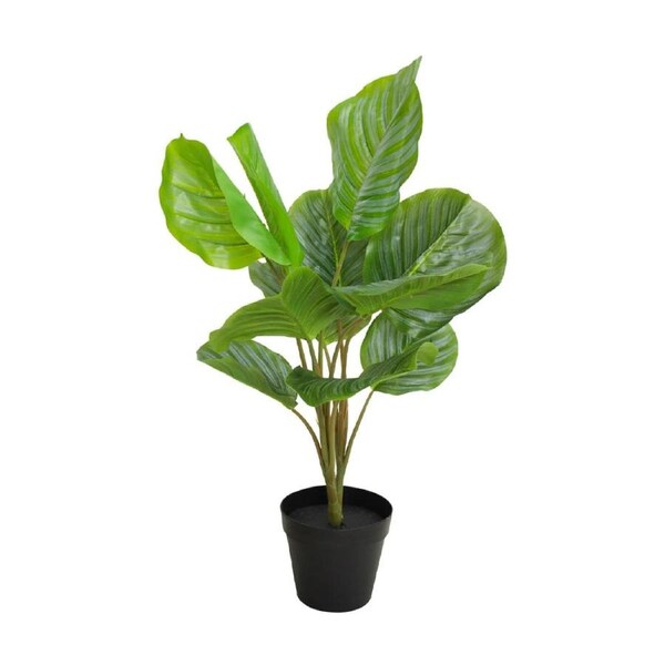 70cm Faux/Fake Plastic Standing Pot Leaf/Plant/Greenery Calathea Home Décor