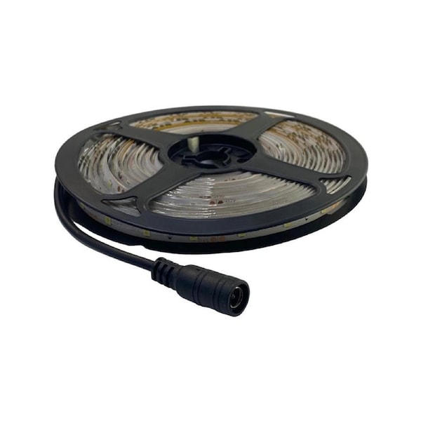 5m 12V 2835 LED Light Strip - Cool White