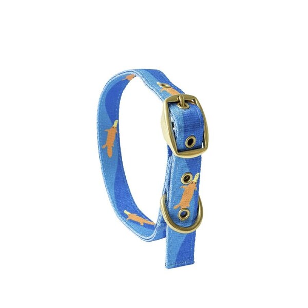 ANIPAL Piper The Platypus Collar (Made from recycled plastic) L