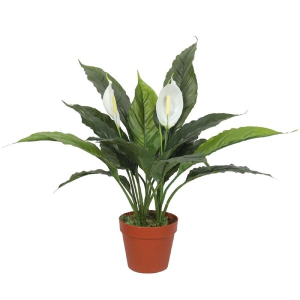 Artificial Spathiphyllum Peace Lily Plant with White Flowers 60cm