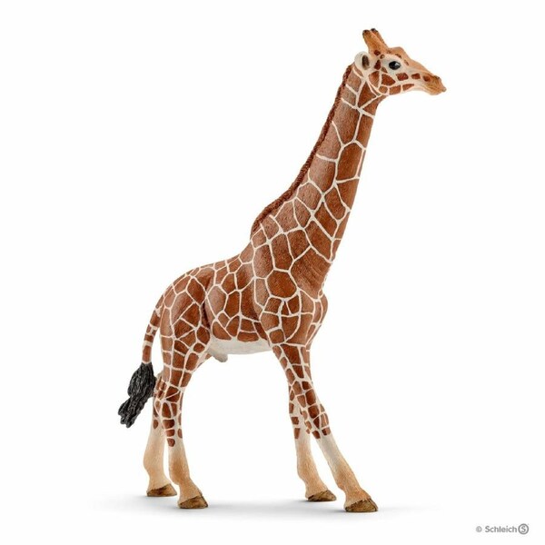 Schleich - Giraffe, male