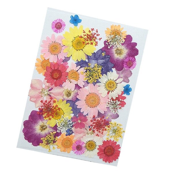 Jewelry Dried Pressed Flowers Leaves Jewelry Making DIY