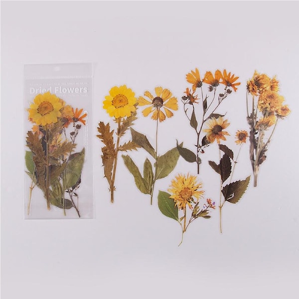 Weekend Flower Shop Large PET Stickers Set of 6 - Sunflowers