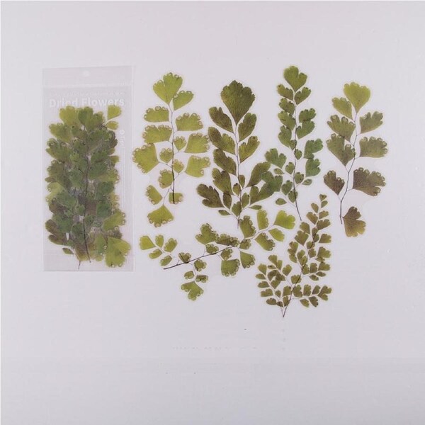 Weekend Flower Shop Large PET Stickers Set of 6 - Greenery