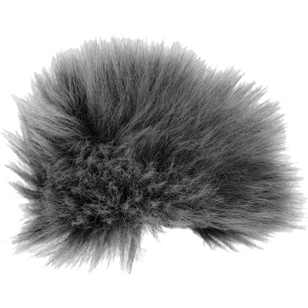 Olympus WJ2 Windjammer for LS-P2 & LS-P4