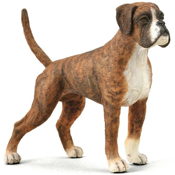 Collecta - Boxer 88936
