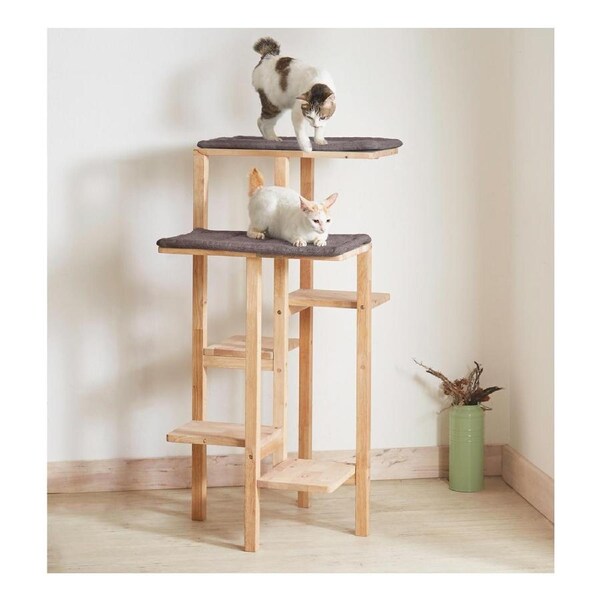 Kitten Racking