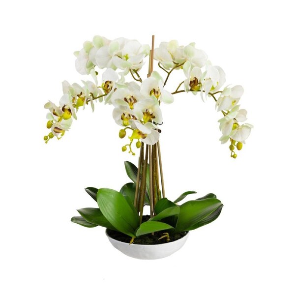 Glamorous Fusion Phalaenopsis Orchid Artificial Plant Flower Decorative 60cm White Bowl - Apple Green