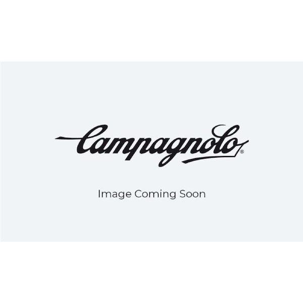Campagnolo N3W Fw Body - D.33 Mm W/Pawls