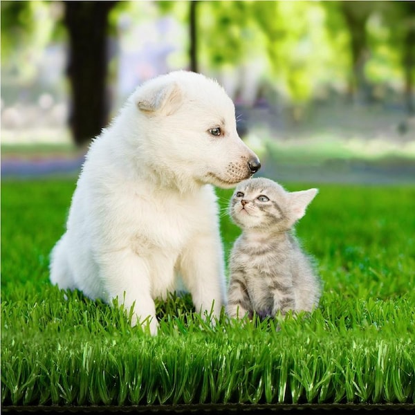 1mx10m Prime Turf Artificial Grass Synthetic 20 SQM Fake Lawn 17mm