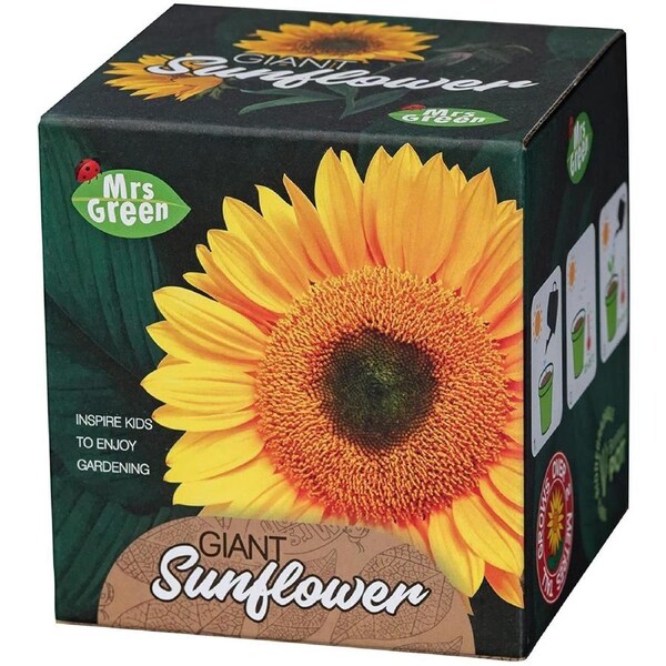 Mrs Green - Giant Sunflower