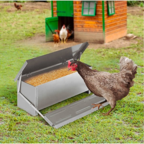 5KG Chicken Feeder Automatic Self Opening Poultry Treadle
