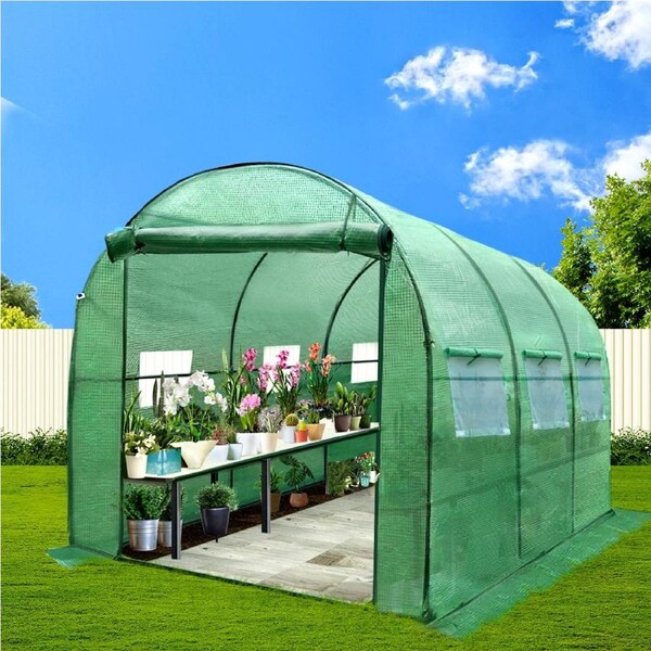 Green Fingers Greenhouse Tunnel Garden Green House Storage Walk in Shed Plant 3x2x2M