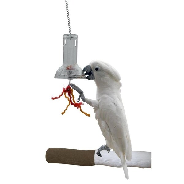 Featherland Paradise Foraging Capsule Bird Toy 48 x 11 x 11cm