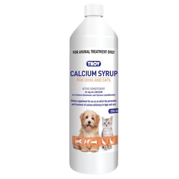 TROY Calcium Syrup 250ML