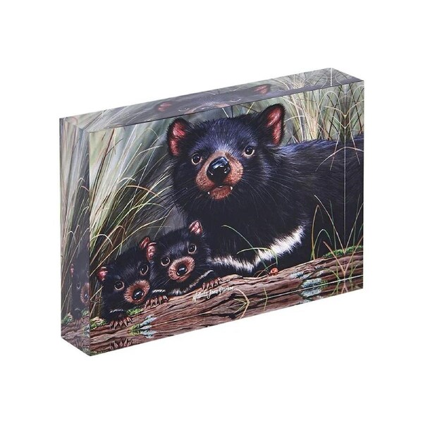 Ashdene Fauna of Australia - Tasmanian Devils Mini Gallery